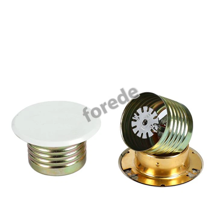 Concealed Fire Sprinkler