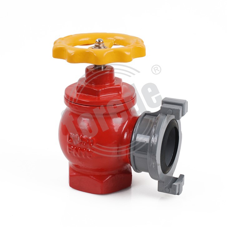 2.5 Inch Fire Valve Hydrant