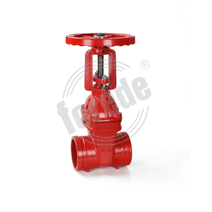 6 Rising Stem Gate Valve