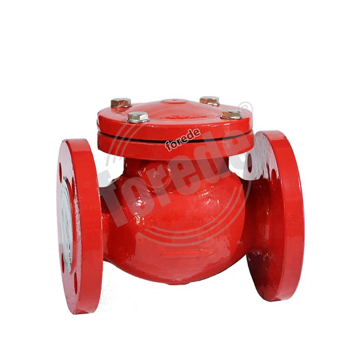 PN16 Ductile Iron Flange Type Swing Check Valve