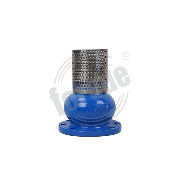 Flange Foot Valve