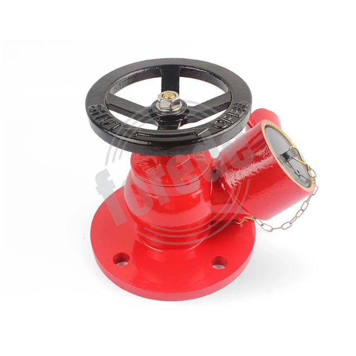 Landing Valve Flange