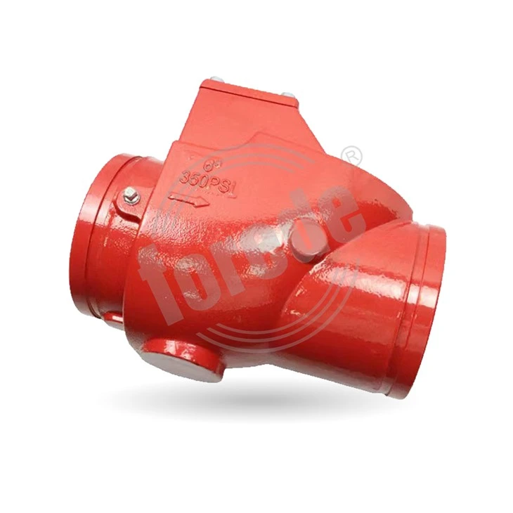 350 PSI Grooved Swing Check Valve